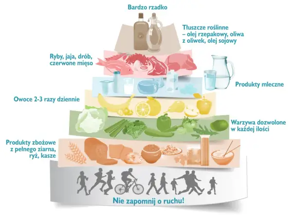 Piramide żywienia: warzywa, owoce, produkty zbożowe, nabiał, ryby, drób, chude mięso, tłuszcze roślinne. Przepisy na zdrową dietę po zawale i stentach.